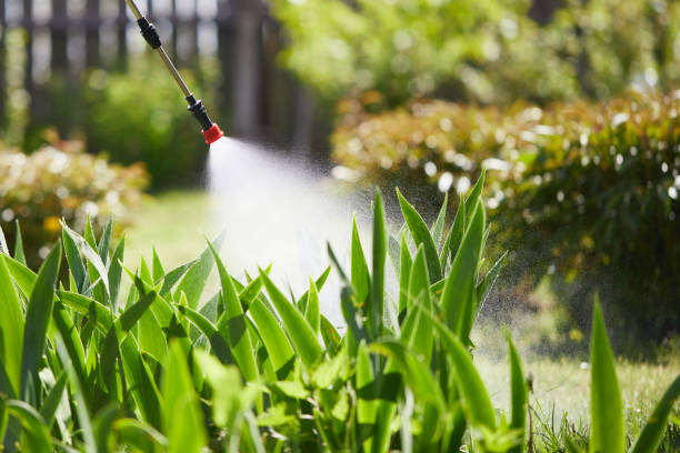 24/7 Emergency Ant Control experts in Olympia, WA