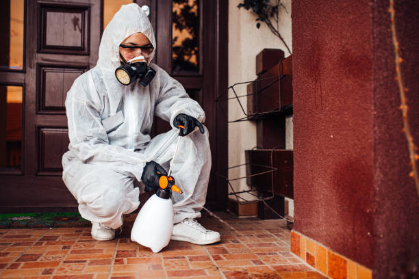 Reliable Ant Control contractor in Olympia, WA by Show Me Pest Control
